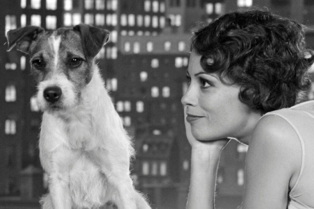 Los 10 perros de películas más icónicos