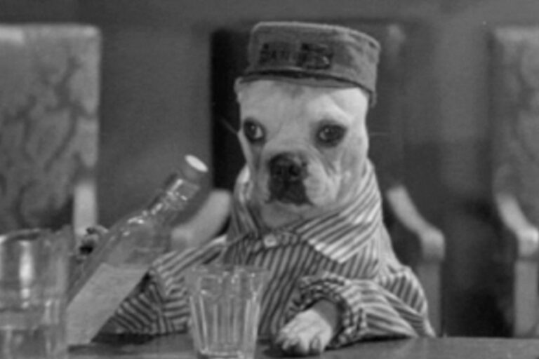 'Dogville Comedies': cuando los perritos hicieron cine sonoro